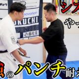 システマ覚えたての福地はパンチ最強の達人のパンチ耐えれるのか？