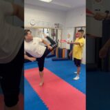 空手とMMAの違い