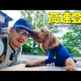 【VLOG】ひたすら登るヤッチくんとベアくん【高速登山＠高尾山】