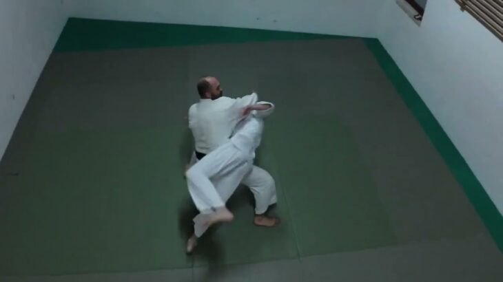 Aikido Dojo Klub – Yoshinkan Dojo 20 godina
