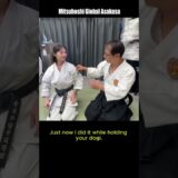 Karate Girl meets Daito-ryu