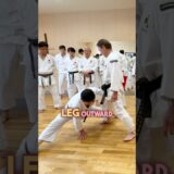 Shorinji Kempo!