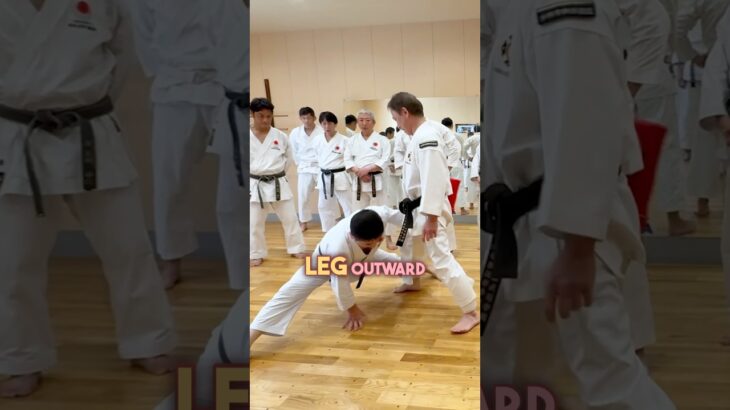 Shorinji Kempo!
