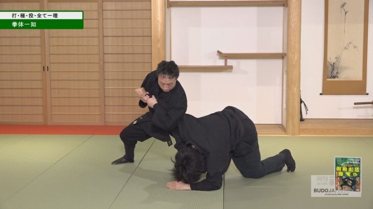 忍法体術・手塚航先生【打・極・投 全て一理】初見良昭の武神館武道　BUJINKAN NINJUTSU – WATARU TEZUKA #2