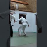 #martialarts #aikido #aikidotechniques #aikidoaikikai #croatia #hardwork #strong #practice #martial