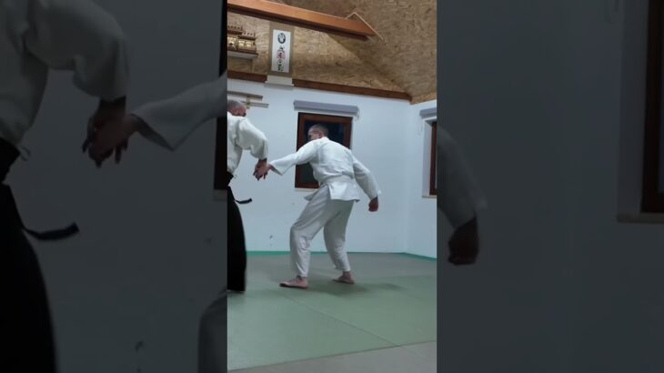 #martialarts #aikido #aikidotechniques #aikidoaikikai #croatia #hardwork #strong #practice #martial