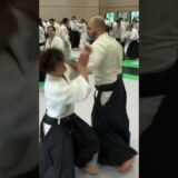 Ryuji Shirakawa & Vedran Rakinić ​⁠(Aikido)