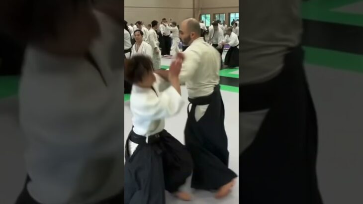 Ryuji Shirakawa & Vedran Rakinić ​⁠(Aikido)