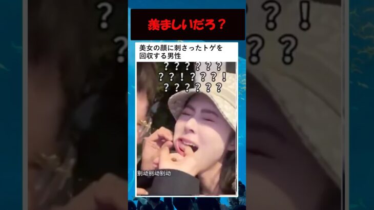 美女の顔に刺さったトゲを抜く男性が羨ましいと話題 #美女 #バズ動画ラボ