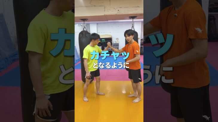 姿勢の手四つ