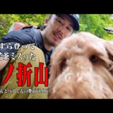 【VLOG】ちょっと山の難易度を上げたヤッチくんとベアくん【棒ノ折山を登る】