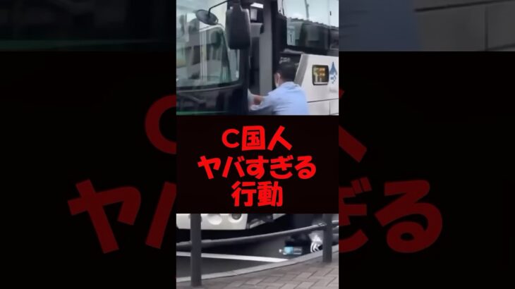 自分勝手な外国人観光客、バスを無理やり止めて大迷惑な状態に #バズ動画ラボ