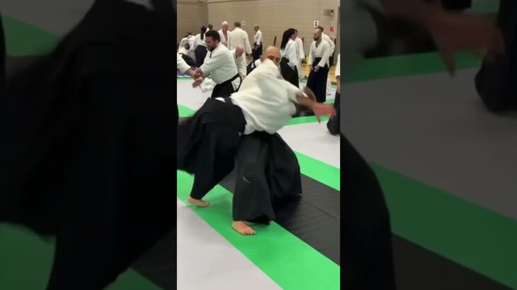 Aikido in UK Birmingham 2026 #aikido #aikidotraining #aikikai #hardwork #motivation #strong