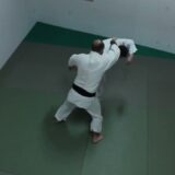 Aikido variation