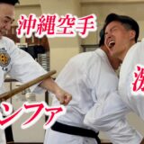 Hit your arm with Tonfa! The “uke” in Okinawa karate is shockingly painful!