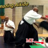 This Aikido Amazed Everyone in the UK!