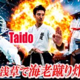 This is “Ebi-geri”! The Secrets Behind Taido’s Amazing Moves and Powerful Kicks Revealed!
