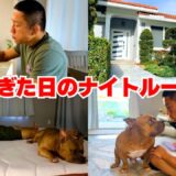 格闘家 堀口恭司の練習後のナイトルーティンをお届けします【本人のナレーション付き】