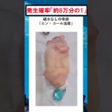 発生確率「約8万分の1」！破水なしで誕生した赤ちゃん #バズ動画ラボ