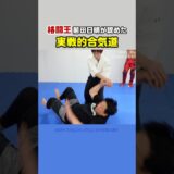 Legendary Fighter Maeda Akira APPROVES This REAL Aikido!