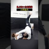 This Aikido Master’s Technique Is DANGEROUS!