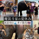 ８泊９日でタイに家族旅行。まさかの路上でムエタイも。