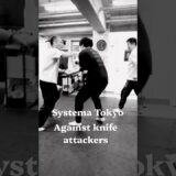 対複数ナイフアタック