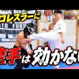 【空手なんて効かない】プロレスラーが舐めてたので本気で分からせてみた