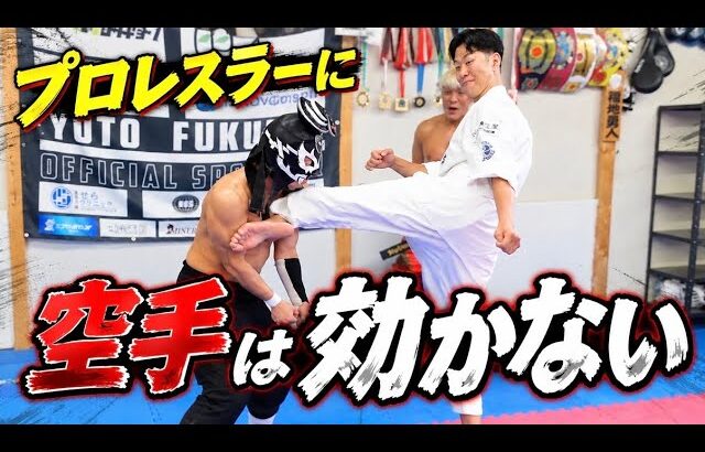 【空手なんて効かない】プロレスラーが舐めてたので本気で分からせてみた
