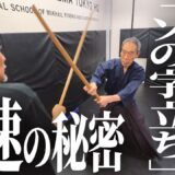 【神速】甲野善紀の剣技に立ち向かってみた
