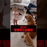 コント「警察官と凶悪犯」 #美女 #バズ動画ラボ
