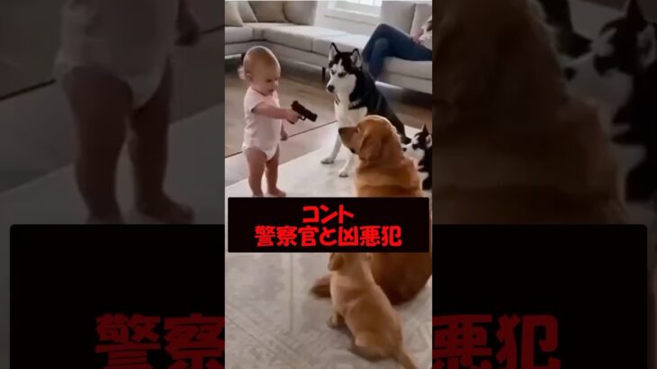コント「警察官と凶悪犯」 #美女 #バズ動画ラボ