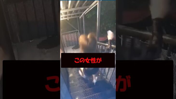 階段から滑り落ちる #美女 #バズ動画ラボ