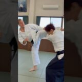 Karate vs Aikido