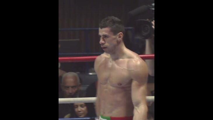 Knock Outs  Knockdowns from Stoyan Koprivlenski vs  Vladimir Tulaev