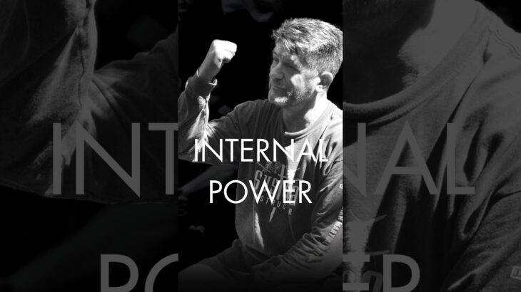 Message from Vladimir Vasiliev, Main instructor of “INTERNAL POWER” seminar in Tokyo
