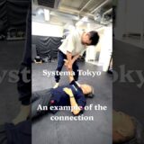 連携した身体の例
