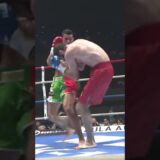 24年世界王者・ストーヤンが衝撃の失神KO負け！ロシア予選王者が左フックで沈める