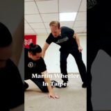 Martin Wheeler, Master the Art of Systema Knife Defense: Real Self-Defense Flow